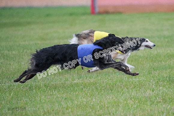 B Prelim Fch 1 Langley Imp Zip-0963