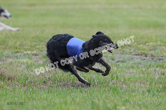 B Prelim Fch 1 Langley Imp Zip-0974