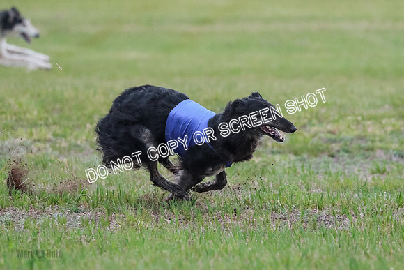 B Prelim Fch 1 Langley Imp Zip-0973