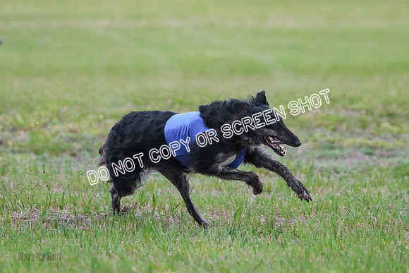 B Prelim Fch 1 Langley Imp Zip-0975