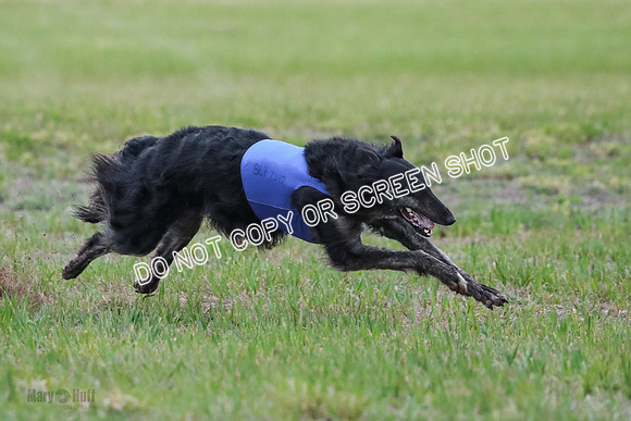 B Prelim Fch 1 Langley Imp Zip-0976
