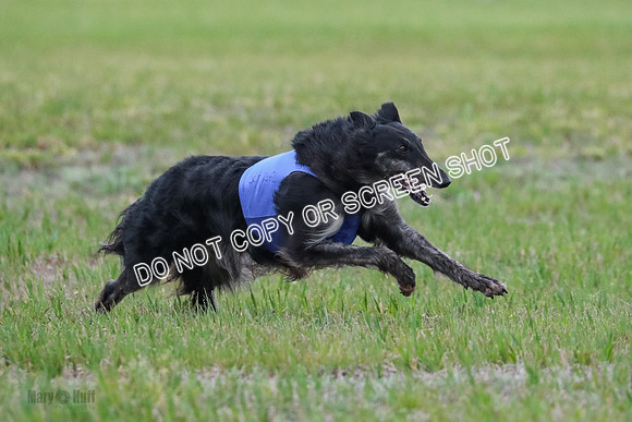 B Prelim Fch 1 Langley Imp Zip-0980