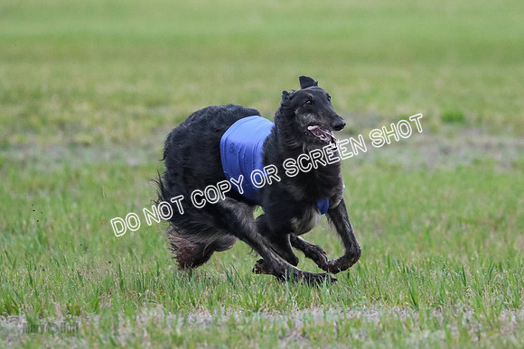 B Prelim Fch 1 Langley Imp Zip-0983