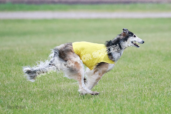 B Prelim Fch 1 Langley Imp Zip-0987