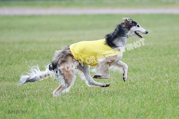 B Prelim Fch 1 Langley Imp Zip-0988