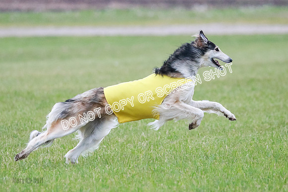 B Prelim Fch 1 Langley Imp Zip-0989