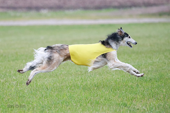 B Prelim Fch 1 Langley Imp Zip-0990