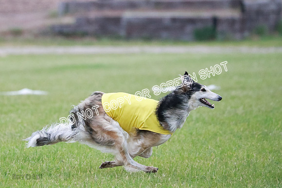 B Prelim Fch 1 Langley Imp Zip-0993