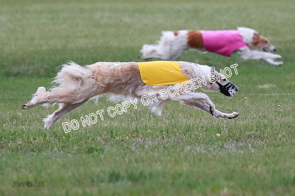 B Prelim Fch 2 Chase Lolita-1002