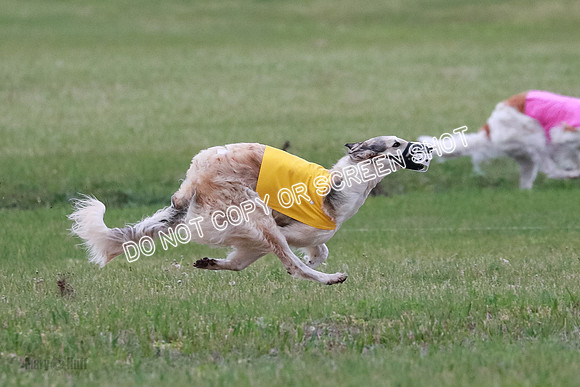 B Prelim Fch 2 Chase Lolita-1000