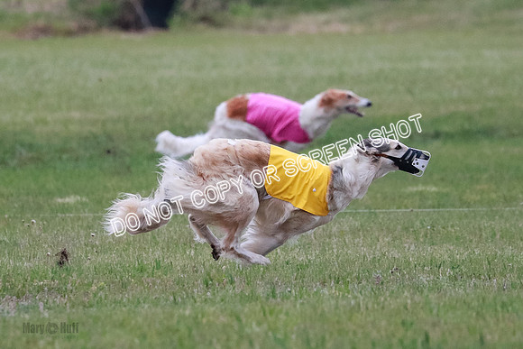 B Prelim Fch 2 Chase Lolita-1004