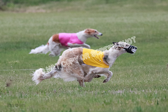 B Prelim Fch 2 Chase Lolita-1005