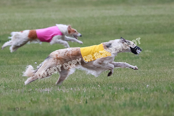 B Prelim Fch 2 Chase Lolita-1006