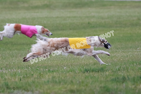 B Prelim Fch 2 Chase Lolita-1007
