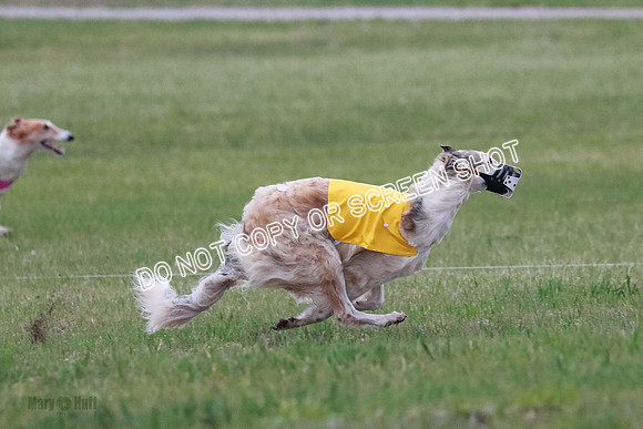 B Prelim Fch 2 Chase Lolita-1009
