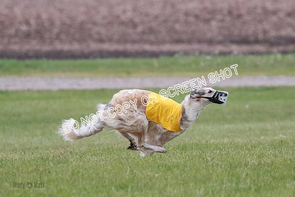 B Prelim Fch 2 Chase Lolita-1011