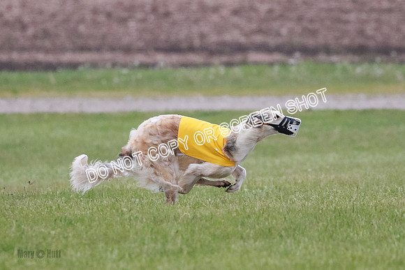 B Prelim Fch 2 Chase Lolita-1012