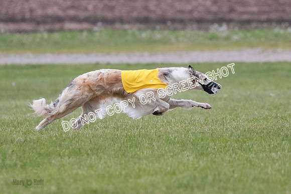 B Prelim Fch 2 Chase Lolita-1013