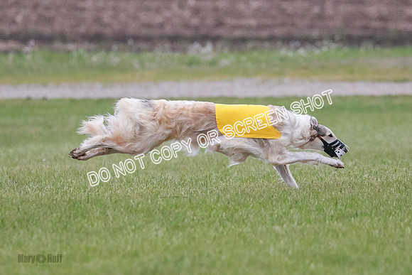 B Prelim Fch 2 Chase Lolita-1014