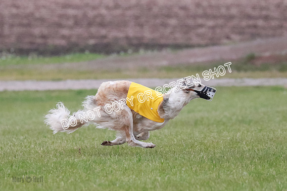 B Prelim Fch 2 Chase Lolita-1016