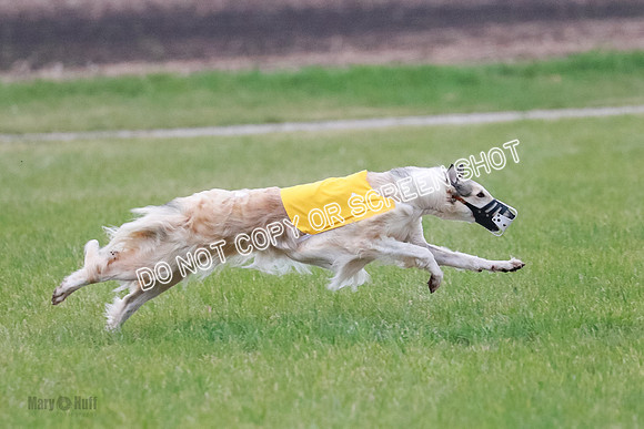 B Prelim Fch 2 Chase Lolita-1017