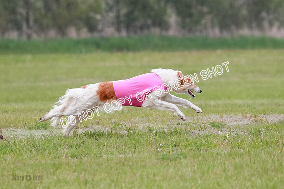 B Prelim Fch 2 Chase Lolita-1022