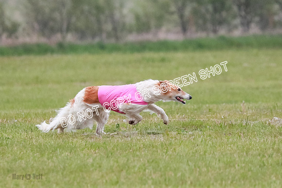 B Prelim Fch 2 Chase Lolita-1026