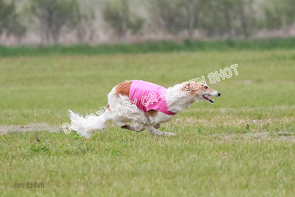 B Prelim Fch 2 Chase Lolita-1025