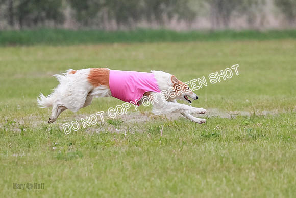 B Prelim Fch 2 Chase Lolita-1023