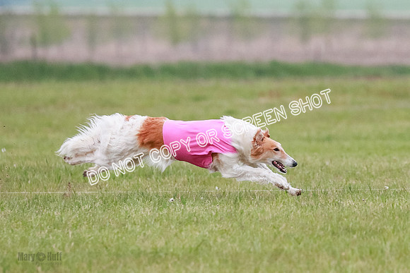 B Prelim Fch 2 Chase Lolita-1032