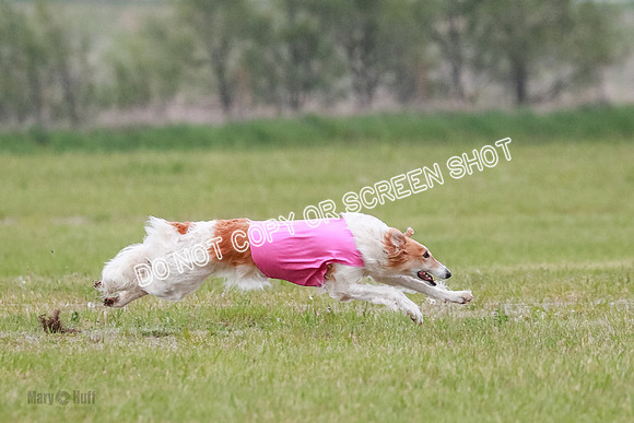 B Prelim Fch 2 Chase Lolita-1027