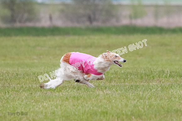 B Prelim Fch 2 Chase Lolita-1030