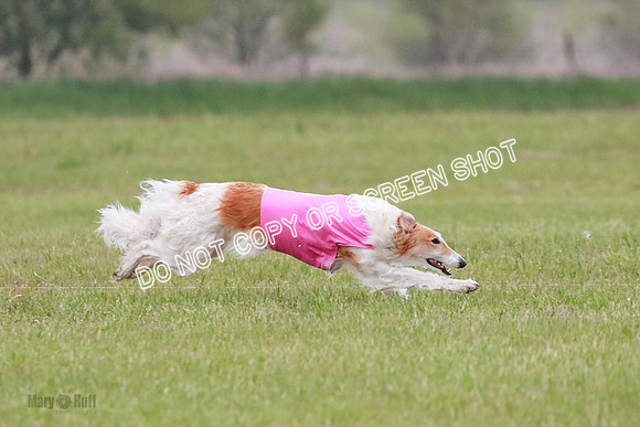 B Prelim Fch 2 Chase Lolita-1028