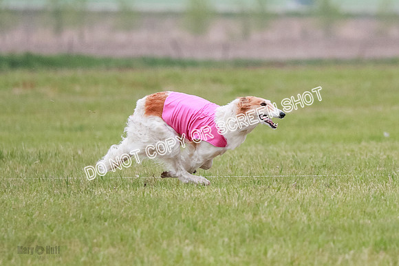 B Prelim Fch 2 Chase Lolita-1034