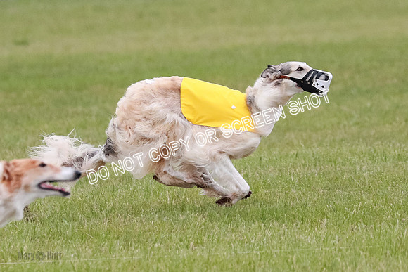 B Prelim Fch 2 Chase Lolita-1041
