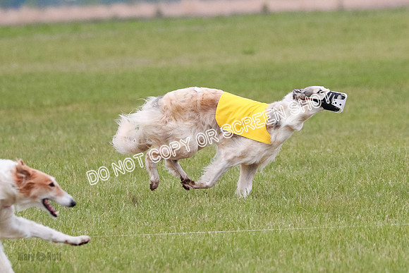 B Prelim Fch 2 Chase Lolita-1040