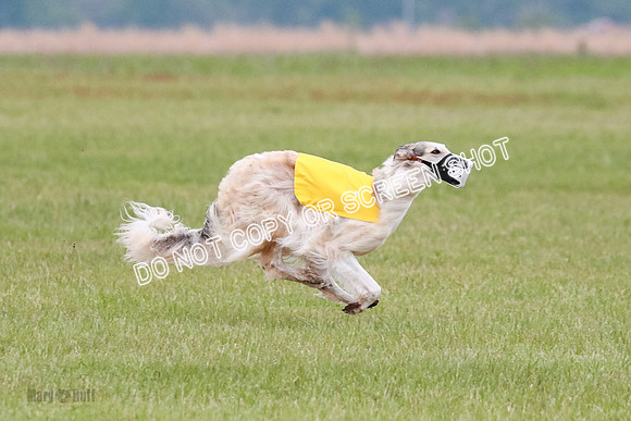 B Prelim Fch 2 Chase Lolita-1037