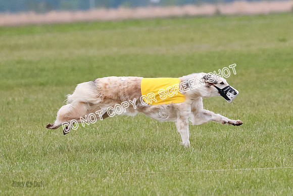 B Prelim Fch 2 Chase Lolita-1039