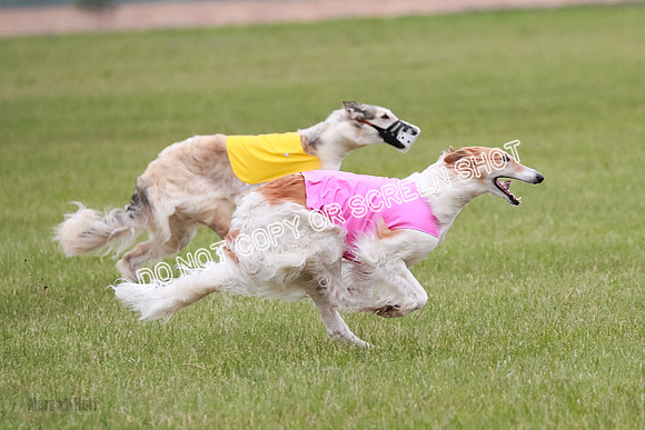 B Prelim Fch 2 Chase Lolita-1043