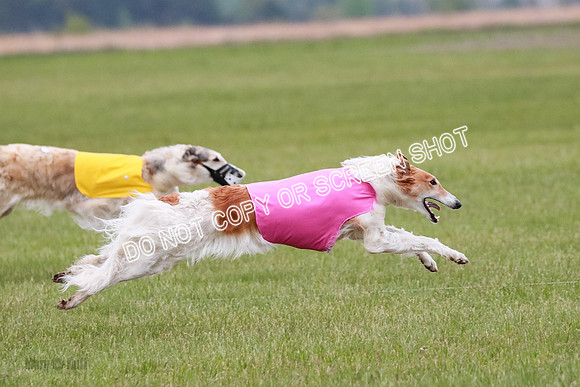 B Prelim Fch 2 Chase Lolita-1045