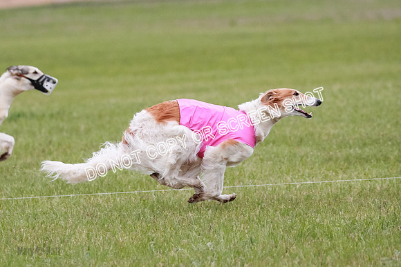 B Prelim Fch 2 Chase Lolita-1048