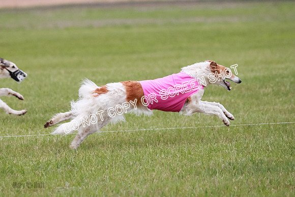 B Prelim Fch 2 Chase Lolita-1050