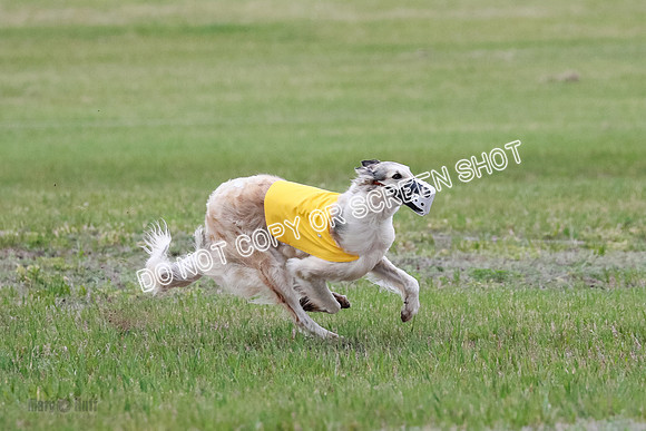 B Prelim Fch 2 Chase Lolita-1058