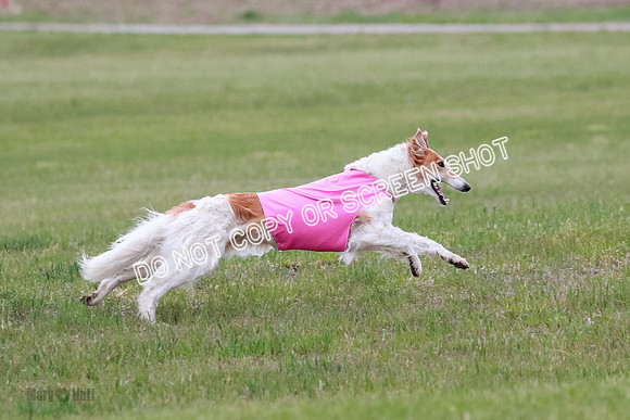 B Prelim Fch 2 Chase Lolita-1071