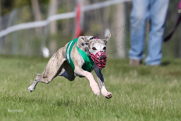 Program 1 Race 4, Jett Chuck Clara Strummer Sting-4598