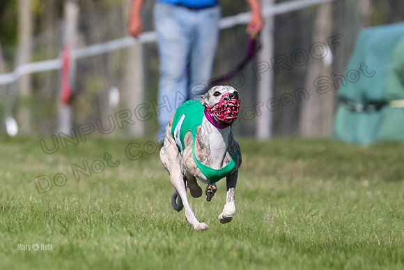Program 1 Race 4, Jett Chuck Clara Strummer Sting-4600