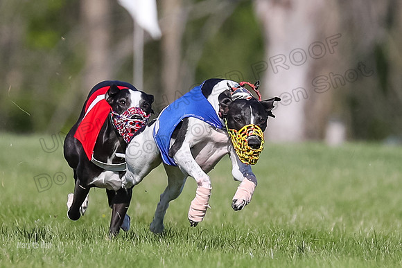 Program 1 Race 4, Jett Chuck Clara Strummer Sting-4595