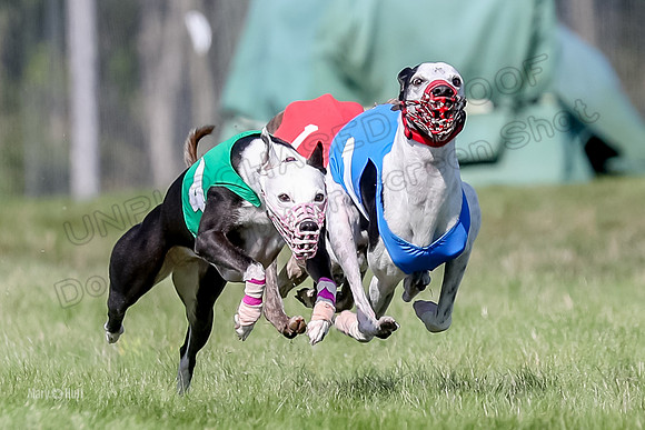 Program 1 Race 10, Halford Cheers Letti Kraken Raven-4825