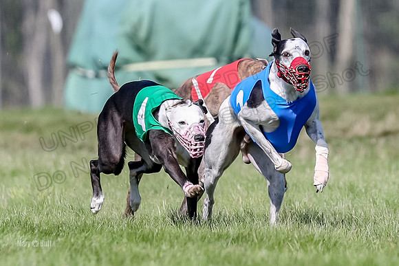 Program 1 Race 10, Halford Cheers Letti Kraken Raven-4826