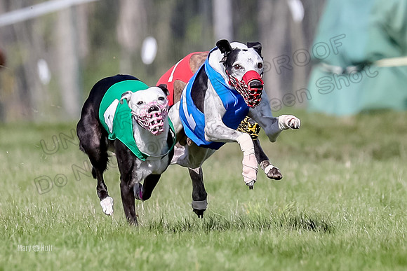 Program 1 Race 10, Halford Cheers Letti Kraken Raven-4823